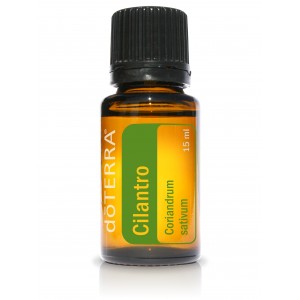 Cilantro 15 ml